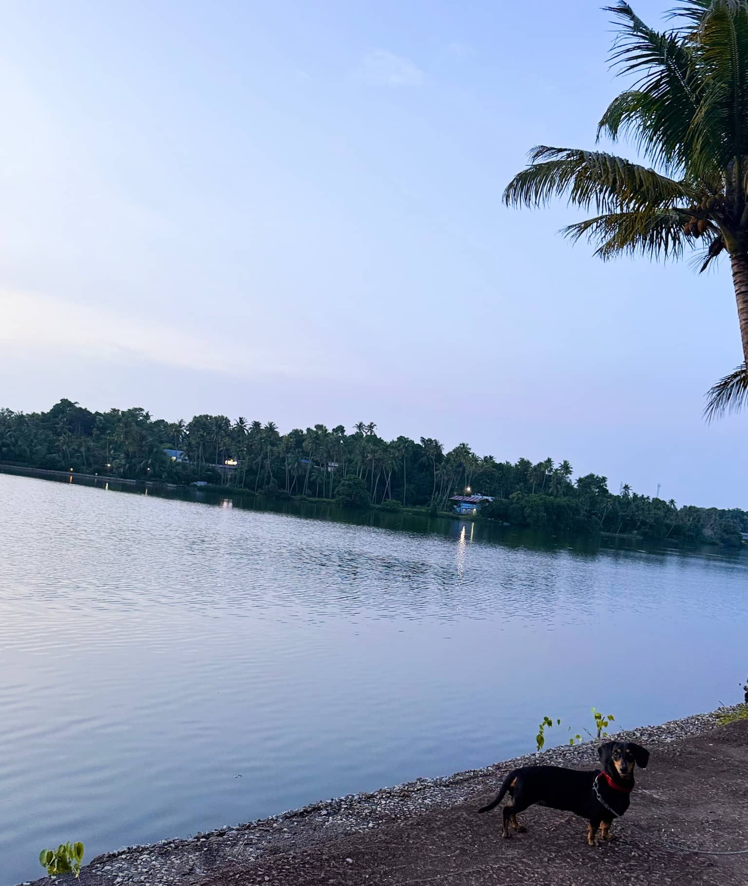 Lakeside Meadows Full Property-Diamond Homestay - Main Image